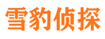 茶陵侦探公司